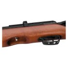 Gamo Riser Punisher Pressluftgewehr 4,5 mm (P18)