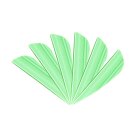 6-er Pack Arizona Vanes Plastifletch Max PM-16 Leucht-Grün