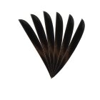 6-er Pack Trueflight Naturfedern Parabol 4" Schwarz